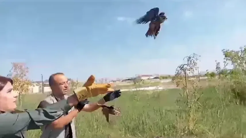 Van'da tedavisi tamamlanan kuşlar gökyüzüne kavuştu haberinin görseli