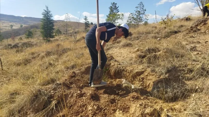 Kayseri'nin ilçeleri binlerce fidan ile buluşacak haberinin görseli