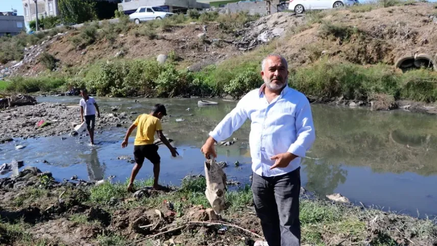 Adana’da kurbağa avı haberinin görseli