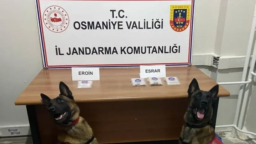 Ekmek arasından uyuşturucu çıktı haberinin görseli