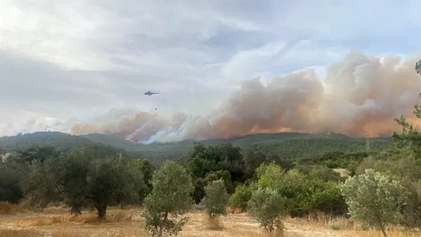 Çanakkale'deki orman yangınında 700 hektar alanlık zarar haberinin görseli