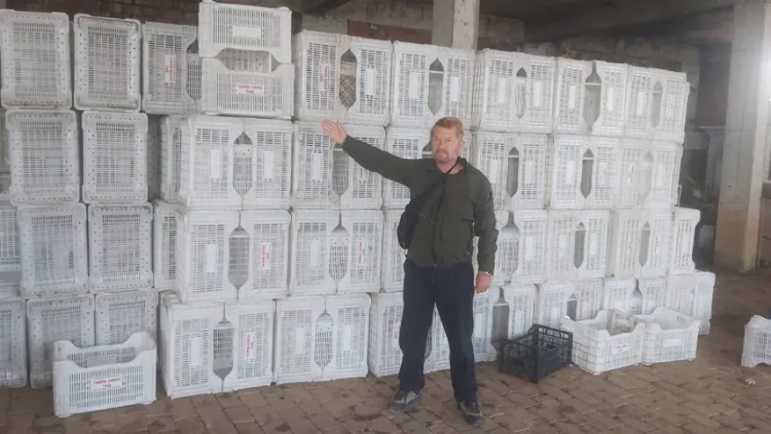 Tarım Kredi üreticisi zor durumda: Tohum için borçlandılar zeytinleri almaya gelen yok haberinin görseli