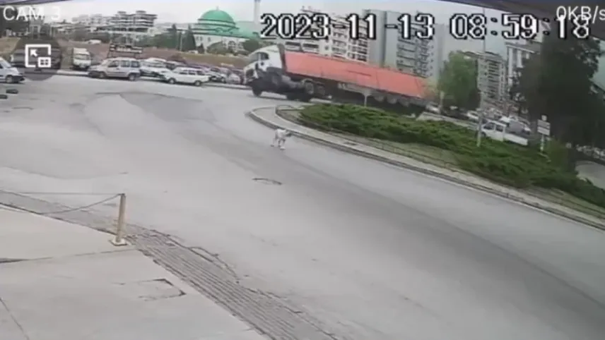 İzmir haber: Virajı alamayan tır devrildi haberinin görseli