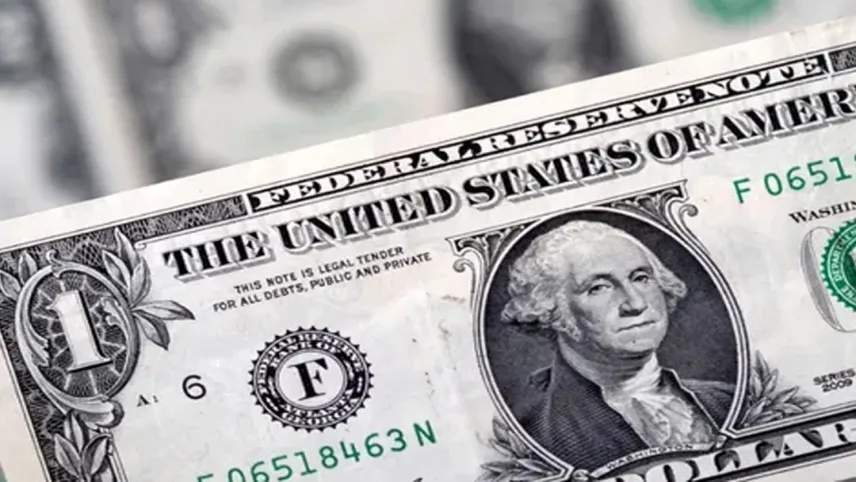 60 Dolar kaç TL eder? 60 dolar alış ve satış fiyatı ne kadar? haberinin görseli