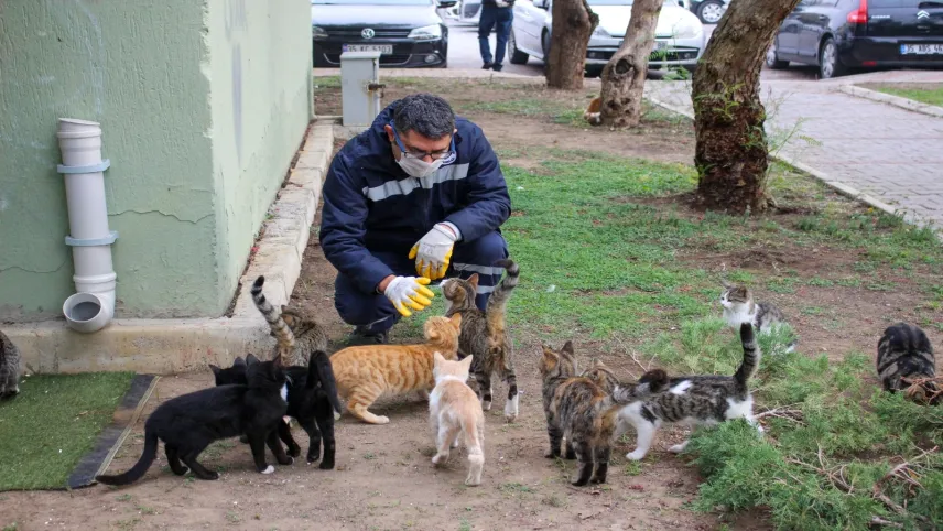 Karşıyaka’da 40 bin dosta yardım eli haberinin görseli