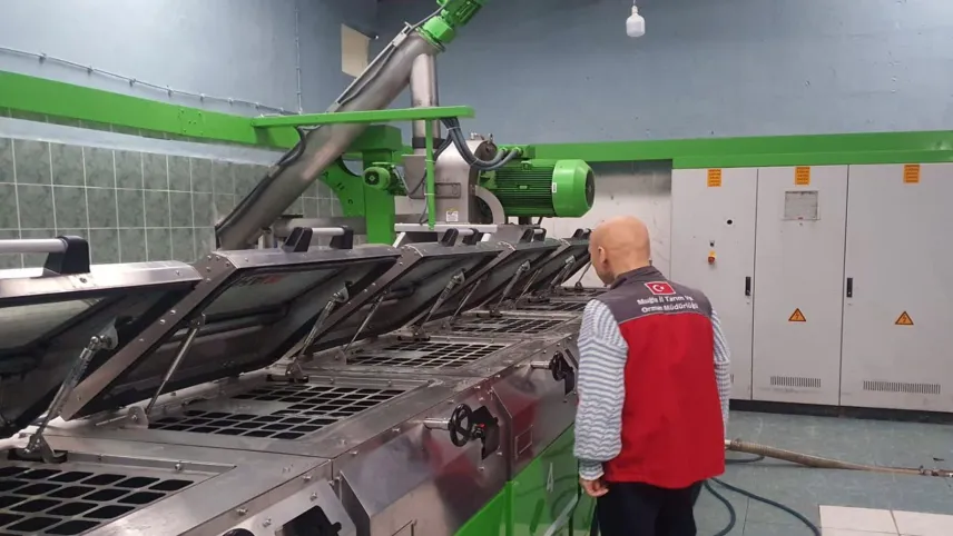 Muğla’da zeytin ve zeytinyağı denetimi haberinin görseli