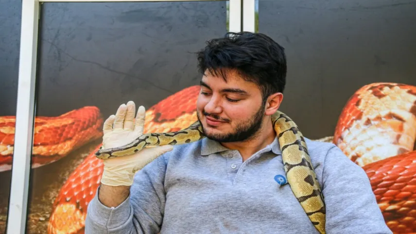 Antalya'yı korkutan kral pitonunu boyunlarına doluyorlar haberinin görseli
