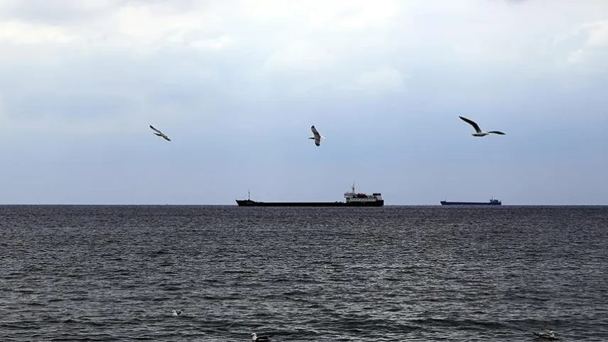 Hindistan’dan Aden Körfezi’nde güvenlik önlemi haberinin görseli