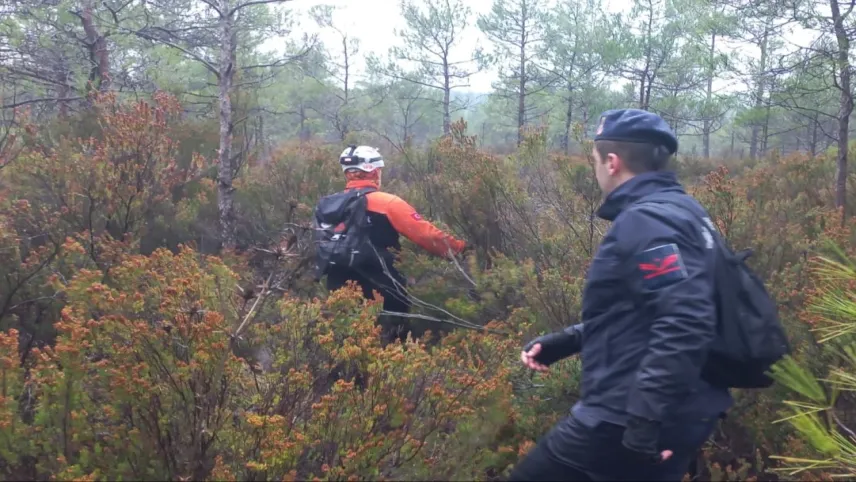 Mantar toplamaya giden adam her yerde aranıyor haberinin görseli