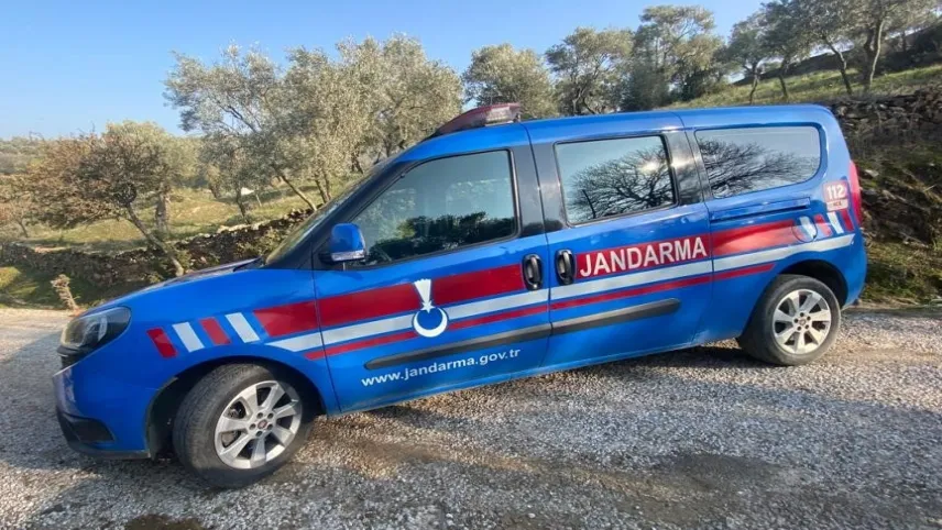 Zeytinyağı hırsızı kıskıvrak yakalandı haberinin görseli