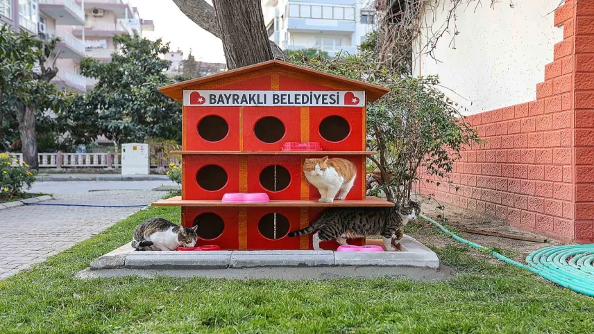 Bayraklı'dan can dostlara sıcak yuva ve mama desteği haberinin görseli