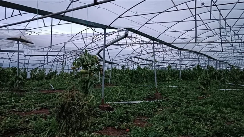 Antalya'da seralara hortum darbesi haberinin görseli