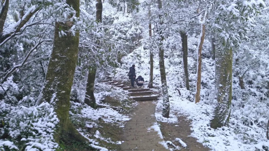 Tayvan'da soğuk hava dalgası haberinin görseli