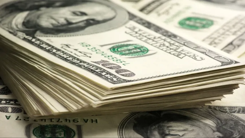 1100 Dolar kaç TL yapar? haberinin görseli