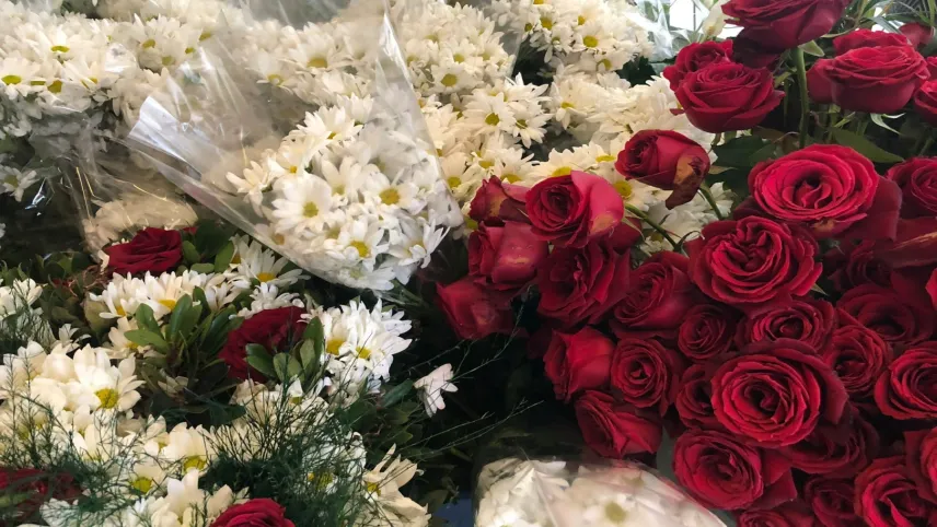 Gül ve papatya yıla damgasını vurdu haberinin görseli