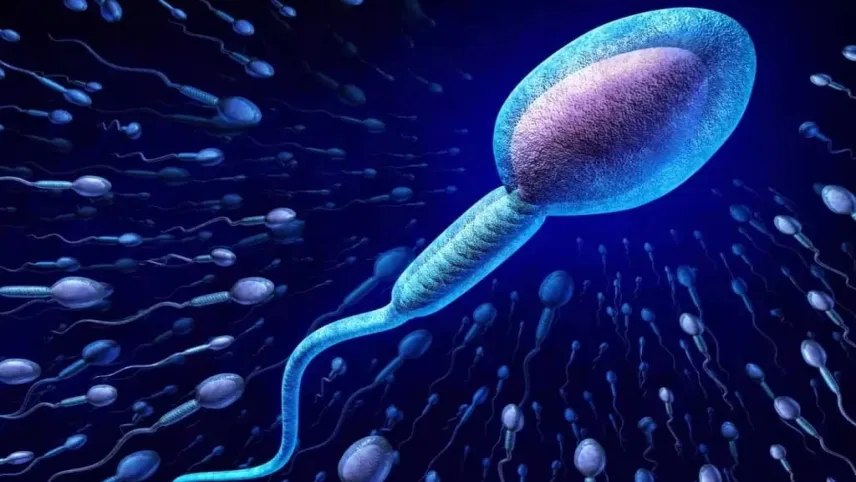 Bu hastalık erkeklerin korkulu rüyası! Azospermi nedir? haberinin görseli