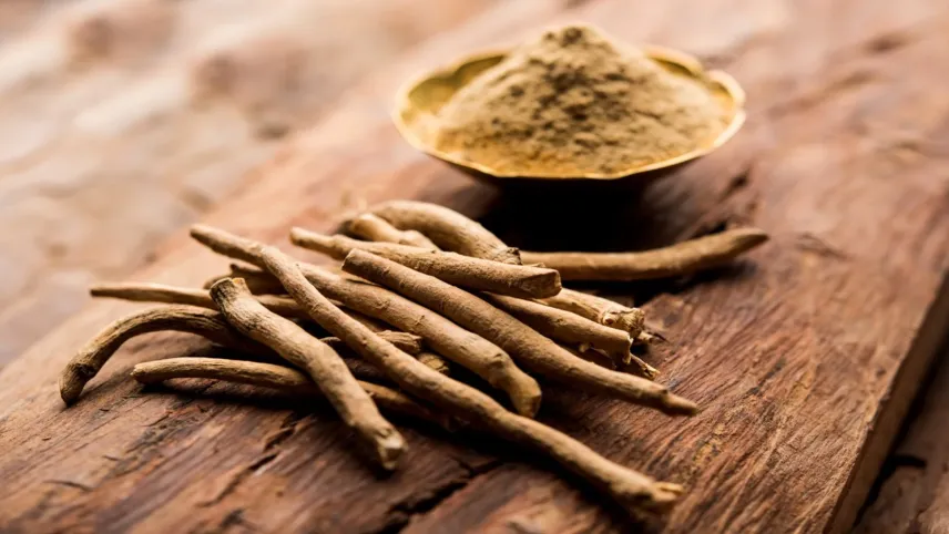 Bu bitki sosyal medyanın fenomeni oldu: Ashwagandha nedir? haberinin görseli