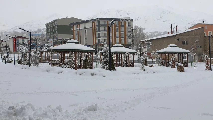 65 yerleşim yerinin yolu kapandı: Okullar tatil edildi haberinin görseli