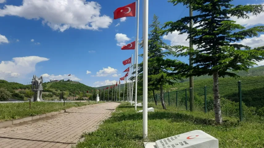 Bingöl 31 yıldır şehitlerinin acısını unutamıyor haberinin görseli