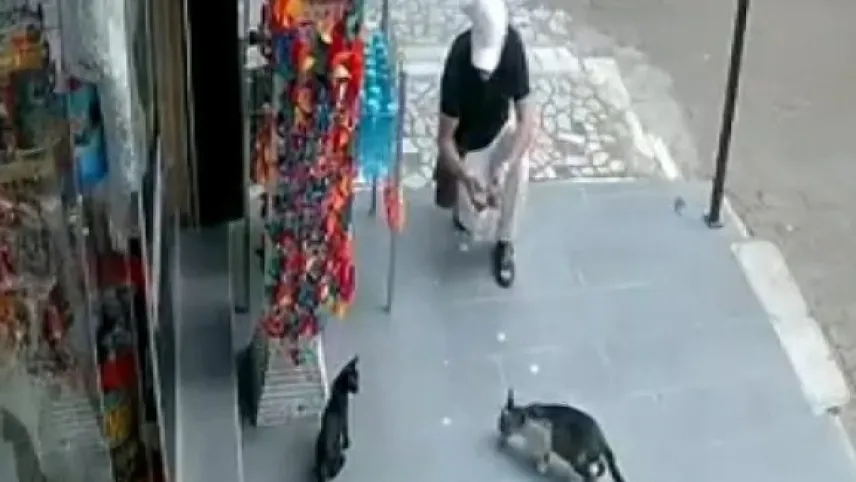 Kediyi önce sevdi sonra çalıp kayıplara karıştı haberinin görseli