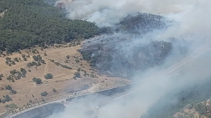 İzmir haber: Bornova'da orman yangını haberinin görseli