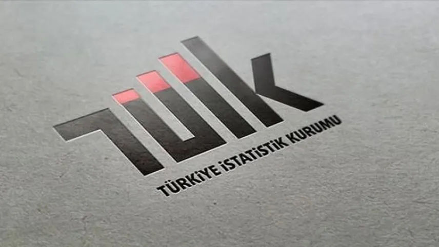 TÜİK nedir, ne işe yarar? 2024 TÜİK Başkanı kimdir? haberinin görseli