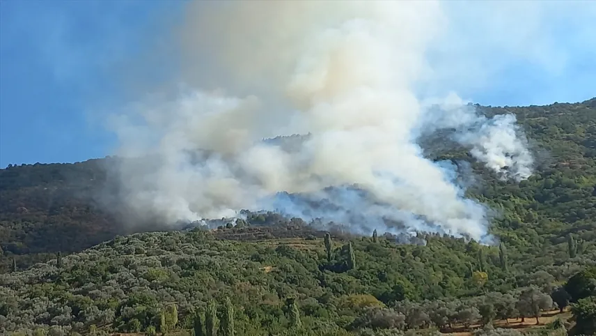İzmir haber: Ödemiş’te orman yangını haberinin görseli