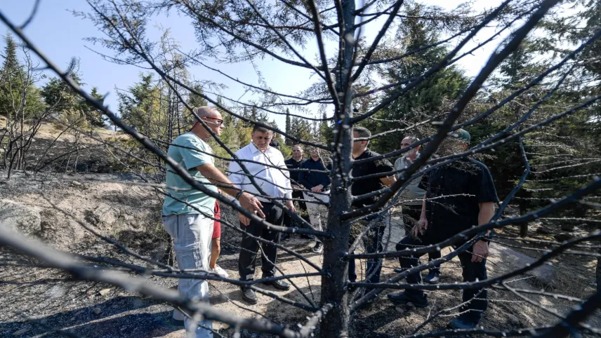 İzmir'de iyileştirme çalışmaları başladı haberinin görseli