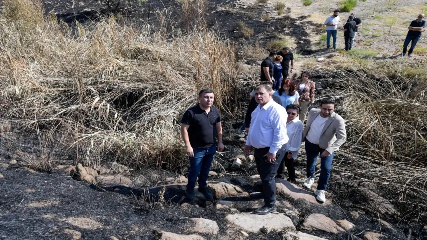 İzmir'de yangından etkilenen 15 bin ağaç tedavi edilecek haberinin görseli