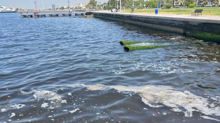 İzmir neden kötü kokuyor? Büyükşehir açıkladı haberinin görseli