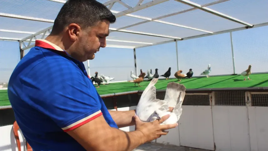 Memurluğu bıraktı, güvercin satmaya başladı! haberinin görseli