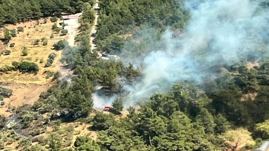 İzmir haber: Kemalpaşa'da  ormanlık alanda yangın çıktı haberinin görseli