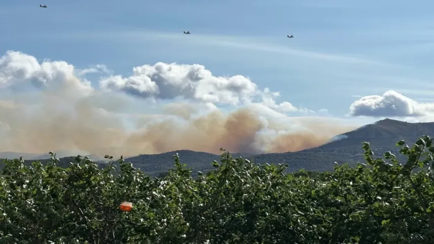 Fransa’da orman yangını haberinin görseli