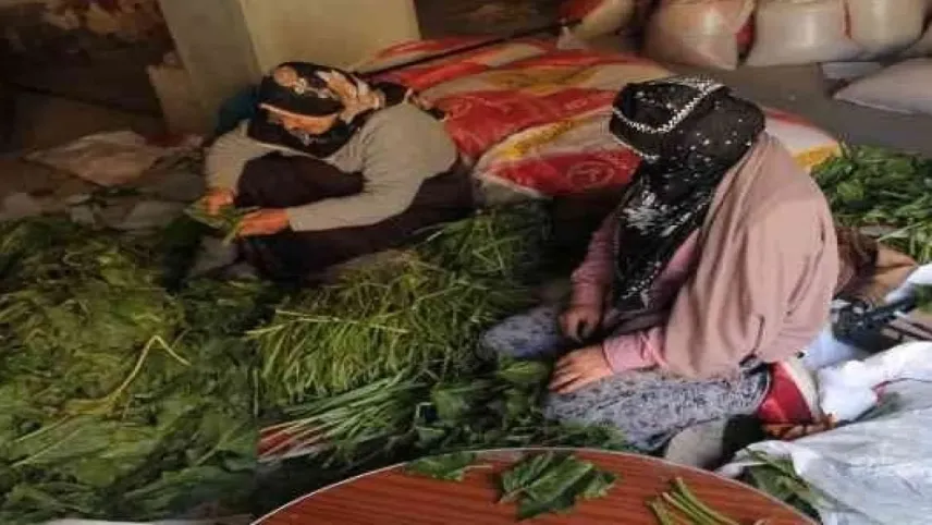 Baybur'ta turşular hazırlanıyor haberinin görseli