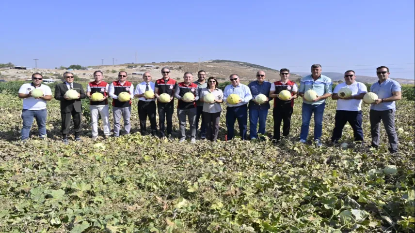 Foça'da kavun hasadı şenliği haberinin görseli