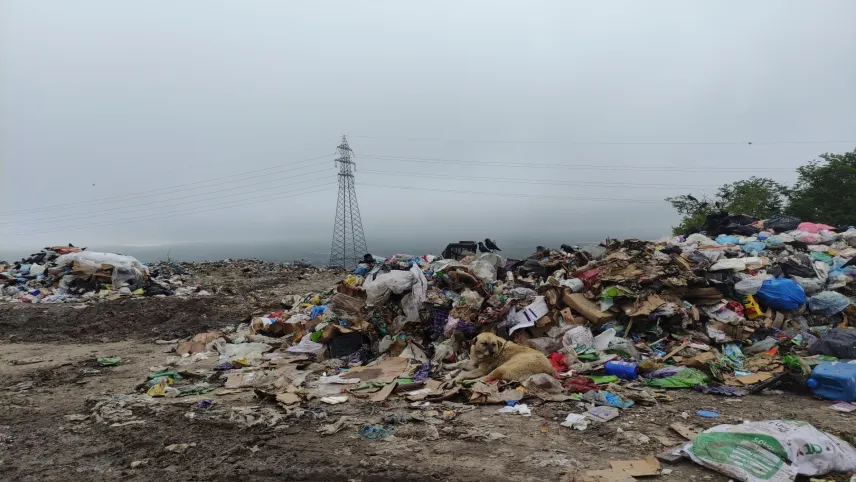 Ardahan'da çöp yığınları tehlike saçıyor haberinin görseli