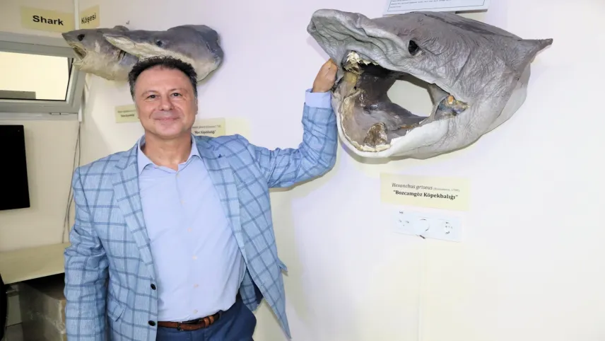 İzmir'de denizlerdeki 400 farklı canlı türü sergileniyor haberinin görseli