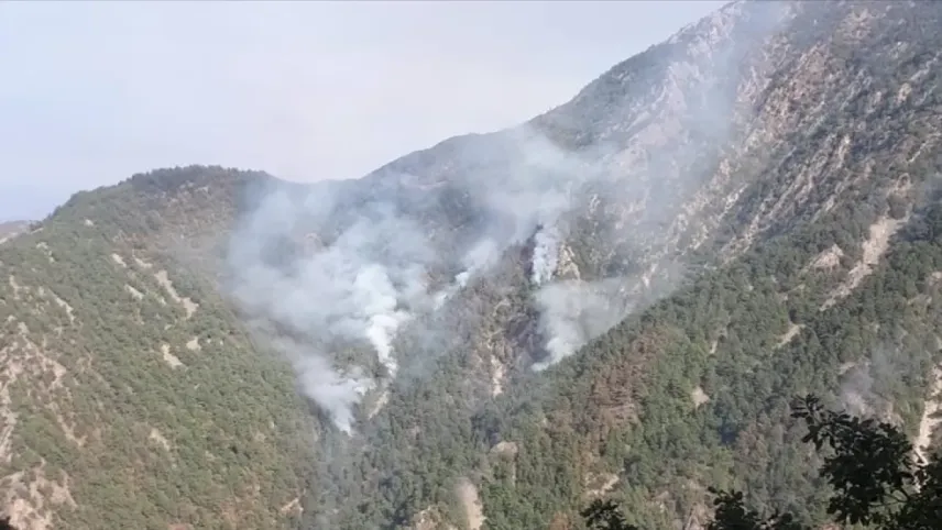 Kahramanmaraş'ta orman yangını günlerdir sürüyor haberinin görseli