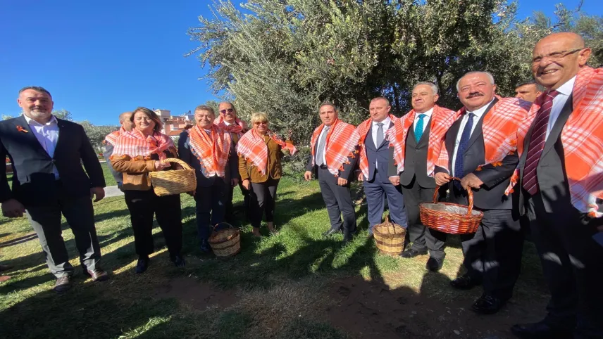 Zeytin ve zeytinyağında yeni sezon Bergama'da başladı haberinin görseli