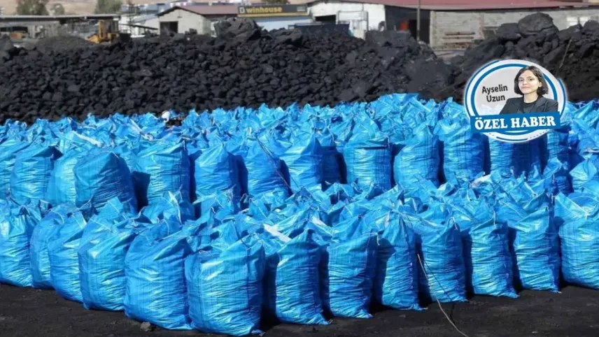 Kalitesiz kömür çevre ve  insan sağlığını tehlikeye atıyor haberinin görseli