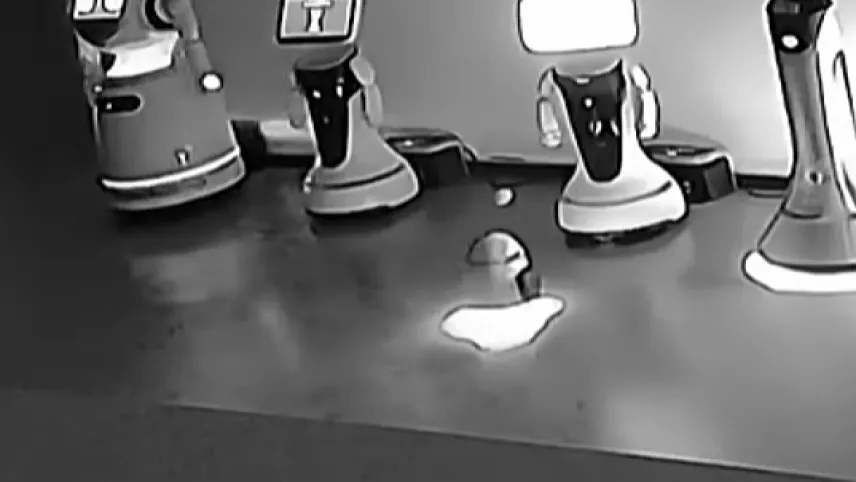 Robotlar firar etti! haberinin görseli