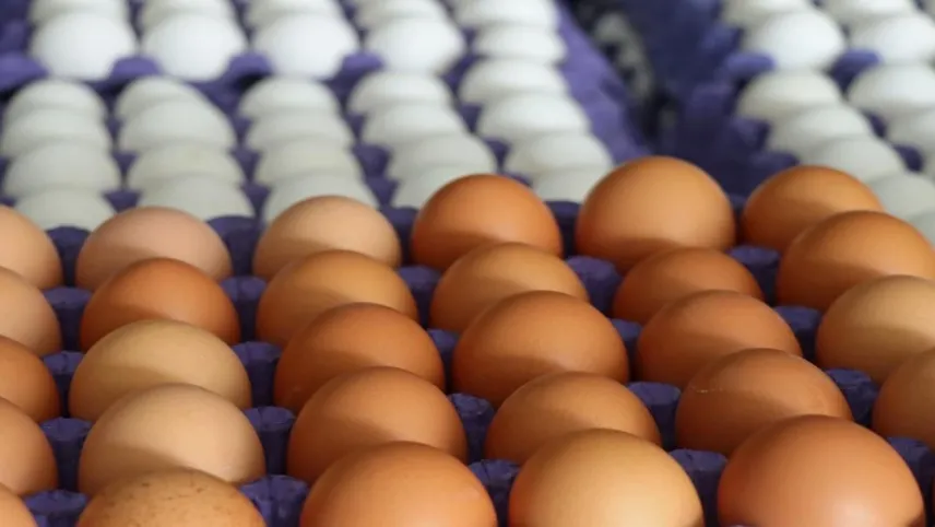 Yumurta fiyatları aldı başını gidiyor! haberinin görseli