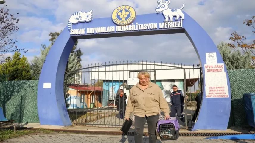 Buca’da daha çok kedi kısırlaştırılacak haberinin görseli