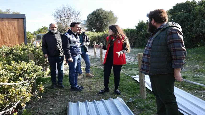 Çeşme’de sakız ağaçlarının hikayesi geleceğe taşınacak haberinin görseli