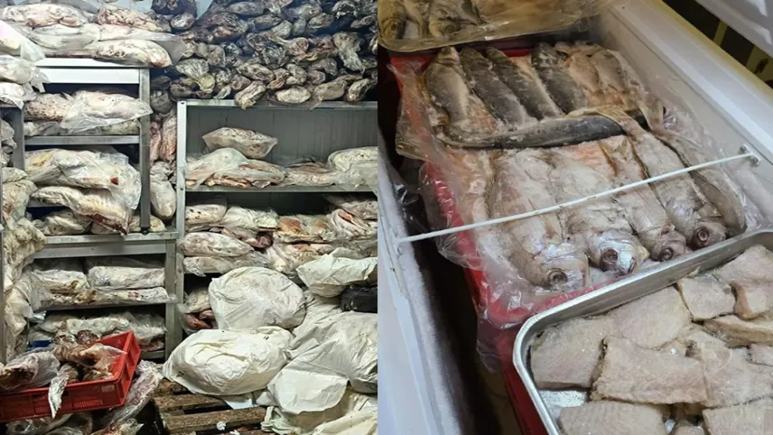 İzmir'de kaçak ve bozuk et ele geçirildi haberinin görseli