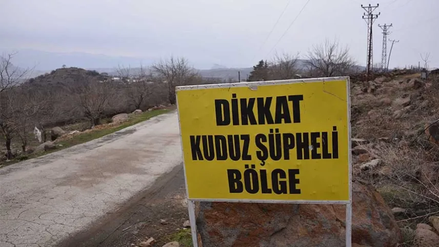 3 kişiyi ısıran köpek kuduz çıktı: Mahalle karantinaya alındı haberinin görseli