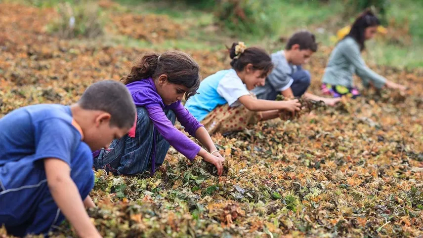 Çiçek, ilçe örgütü ile buluştu haberinin görseli