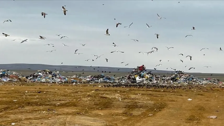 Çevre, Şehircilik ve İklim Değişikliği Bakanlığından ASKİ'ye rekor ceza! haberinin görseli