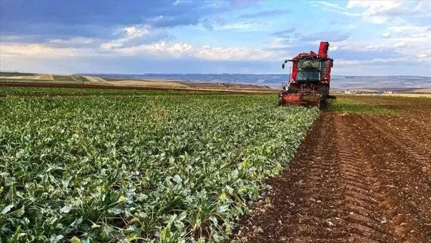 Çiftçiler dikkat: Tarımsal destek ödemeleri başlıyor haberinin görseli
