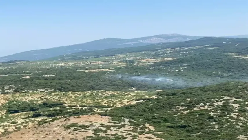 Aydın'da orman yangını: Kontrol altına alındı haberinin görseli